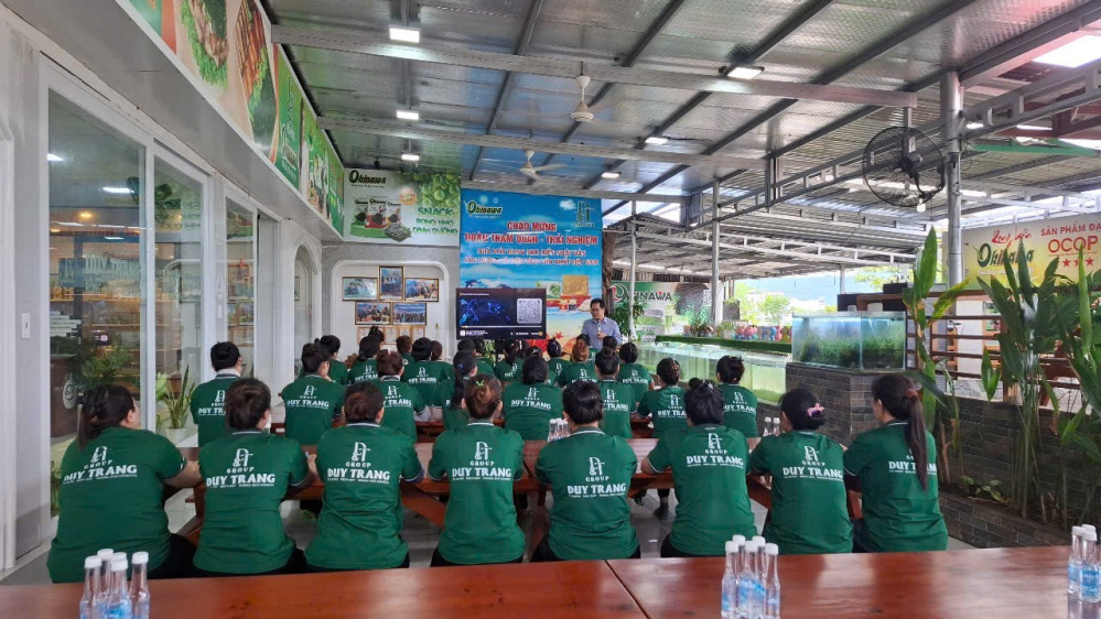 Nhân Lực - Đào Tạo